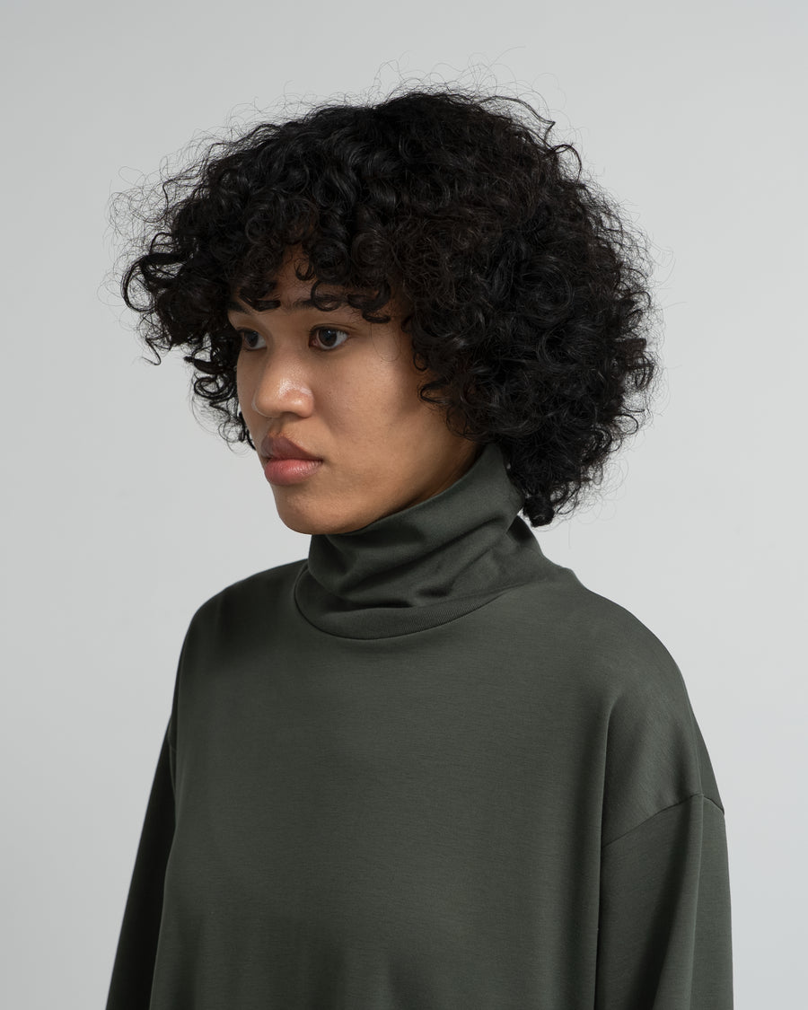Brushed Mockrody High Neck Dress